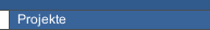Projekte